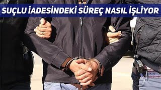 Kırmızı Bülten ve Suçlu İadesinde İzlenen Yol [upl. by Inimod]