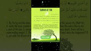 Surah AtTin translation  Quran translation  islam [upl. by Philbert]