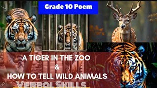 A TIGER IN THE ZOO amp HOW TO TELL WILD ANIMALSEXPLANATION in English10thFirst Flightcbse english [upl. by Macegan76]