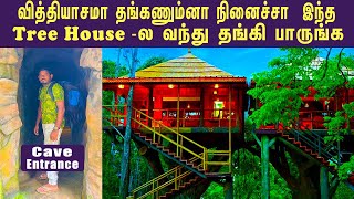 EP1 Forest View Tree House ❤️Offer Rs6000 Only❤️ Stay in Kerala  Thekkady [upl. by Kilar]