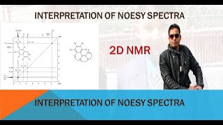 2D NMR NOESY NMR INTERPRETATION [upl. by Kantor]