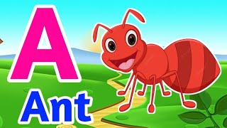 ABCDA to Z Learn kidsA for AntB for Ball Alphabet song English varnmala Phonics song abcd [upl. by Lightfoot]