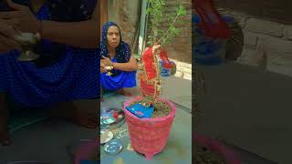 radha5595 trendingshorts cute tulsi 🌿🌿 Jay Tulsi maiya [upl. by Lyda]