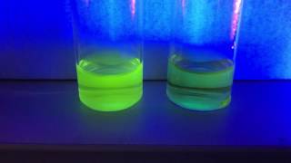 pH sensing using fluorescence [upl. by Araed399]