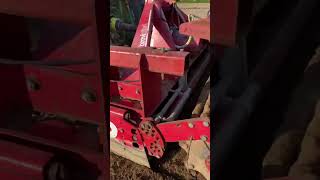 John Deere 6145R powerharrowing for Jersey Royal potatoes 🥔🇯🇪 farming johndeere potatoes [upl. by Anihs755]