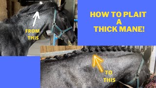 How to plait a horse with a thick mane [upl. by Inava179]