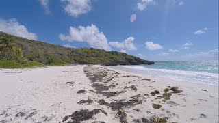 Swimming and Snorkeling In Vieques Puerto Rico [upl. by Pihc579]