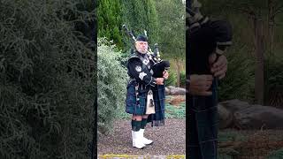 Cameronians Scottish Rifles Piper [upl. by Noruq410]