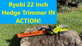 Ryobi 22 Inch Batttery Hedge Trimmer P2606 IN ACTION [upl. by Josephina]