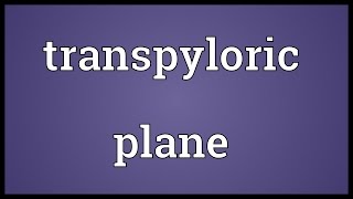 Transpyloric plane Meaning [upl. by Mhoj323]