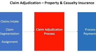 Claim Adjudication Process  Property amp Casualty Insurance [upl. by Jezabel]