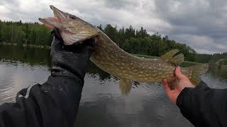 Sjösättning och lite fiske i Mälaren  Linder Arkip 460 [upl. by Haianeb509]