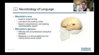 Chapter 7 Neurobiology of language and lateralization [upl. by Attener]