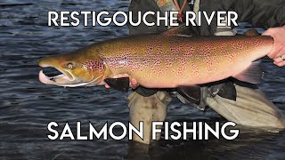 Restigouche River Salmon with Tom Rosenbauer [upl. by Nostrebor]