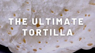 They Don’t Rip  What Wonton Wrappers and These TearFree Tortillas Have in Common meal prep [upl. by Otokam]