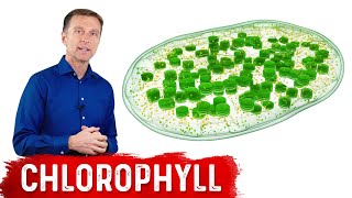 9 Proven Benefits of Chlorophyll [upl. by Adnouqal689]