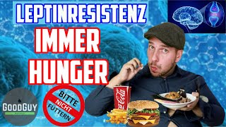 LeptinLeptinresistenzimmer Hunger obwohl du ständig ißtUrsachen Lösungen einfach erklärt [upl. by Zachariah]