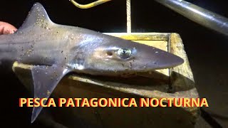 PESCA VARIADA NOCTURNA  Pesca de Gatuzos Gallos y Rayas  Patagonia Argentina [upl. by Salvay85]