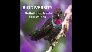 Lecture 22 Biodiversity Levels values [upl. by Siari873]