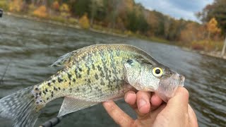 How To Catch Crappie In The Fall At Taylorsville Lake [upl. by Gillie687]