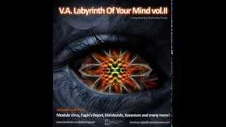 Xuranium  Dawn Of Soul VA  LABYRINTH OF YOUR MIND vol II  compiled by Ondrej Psyla [upl. by Nwahsear828]