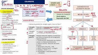 1 COLANGITIS [upl. by Birgitta]