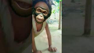 Monkey face 🐒 ytshorts cutebaby trending funnyface [upl. by Becka]