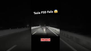 Tesla’s FSD Fails To Detect Deer On The Road Doesn’t Even Slow After Impact shorts teslafsdbeta [upl. by Ellives401]