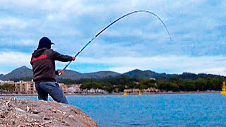 PESCA con CAÑA de MANO 6 METROS ¡¡A BOYA CORRIDA [upl. by Shantha]