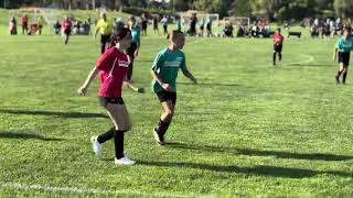 Shea’s Game 1 Highlights 72724 [upl. by Stilla]