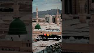 Madina  Naat  viral video  YouTube Short video  unfreeze my account  please Support me [upl. by Mady]