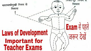 Proximodistal and cephalocaudal laws of development [upl. by Retsevlys806]