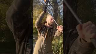 carpfishing carp procarp sportex climaxcult shimano ловлякоропа карпфішинг [upl. by Elitnahc]