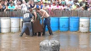 Caldron Falls Pig Wrestling 2017 Hog Wild [upl. by Esaj]