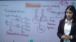 L  2  CELL Cycle and Cell Division  Class 11  UP Board  CBSE  NCERT  Phyzital Classes [upl. by Daffie]