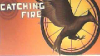 Catching Fire Audiobook Chapter 16 [upl. by Sahpec]