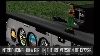 C172SP Hula Girl [upl. by Courcy]