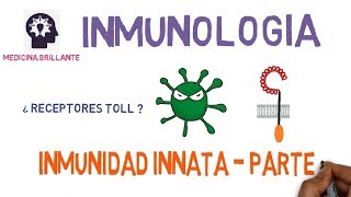 Inmunidad Innata II  Receptores Toll [upl. by Vasos]