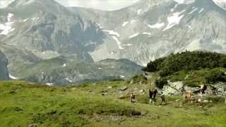 Fishermans Friend StrongmanRun Austria 2015  Trailer [upl. by Nedearb]