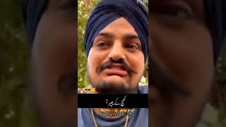 Sidhu moose Wala foryou tallah singer lyrics talh attitude viralshort karanaujla trending [upl. by Beaumont]