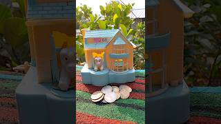 DOG HOUSE POPPY BANK ACCOUNT amp PIGGY BANK ACCOUNT COIN COLLECT shorts [upl. by Ingunna627]