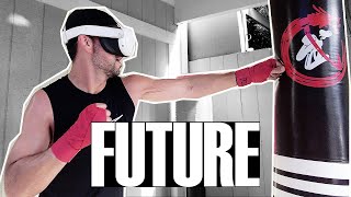 The FUTURE Of Punching Bags Is Here vr [upl. by Burnley722]