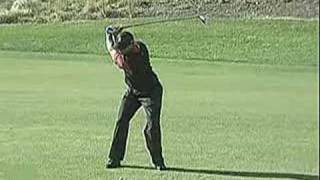 Swing Vision Tiger Woods 07 Target 3 Wood [upl. by Nirehtak]