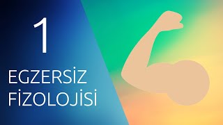 EGZERSİZ FİZYOLOJİSİ 1 Kas Yapısı [upl. by Junia]