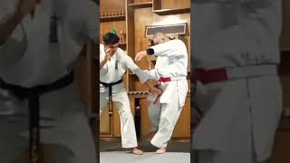 Yokogeriashibaraikansetsehsanashtari karate martialarts kyokushin shidokan jujitsu judo [upl. by Cahilly]