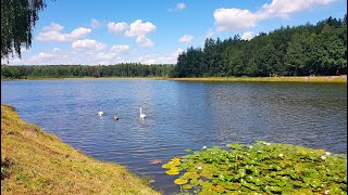 Zalew Wesoła Fala Jacek Lech  quotCoś pozostanie z tamtych latquot [upl. by Retsevlis799]