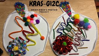 Protein Project KRASG12C [upl. by Waldack]