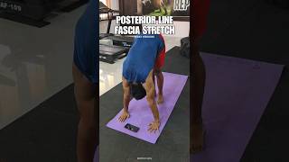 POSTERIOR LINE FASCIA STRETCH [upl. by Hanleigh823]