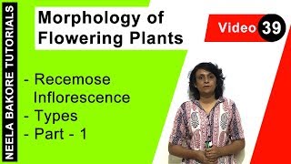 Morphology of Flowering Plants  NEET  Recemose Inflorescence  Types  Part  1  Neela Bakore [upl. by Goodwin]