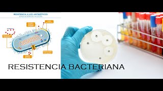 Resistencia Bacteriana [upl. by Aicirtan]